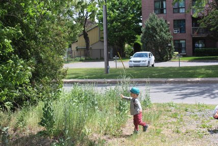 Oeuvre de Véronique Pascal