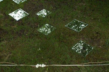 Oeuvre de Caroline Marchesseau