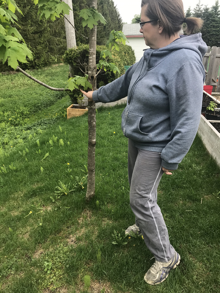 Oeuvre de Raphaële Comté