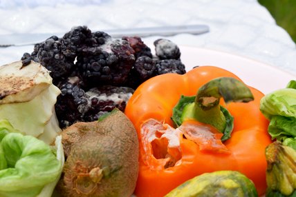 Oeuvre de Julia Pouliot