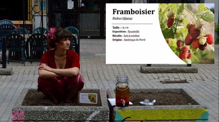 Oeuvre d'Angélie Morin