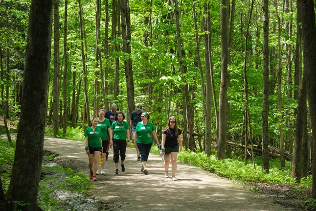 Des membres du personnel portant le t-shirt vert à l'effigie de l'UdeS marchent dans un sentier de forestier.