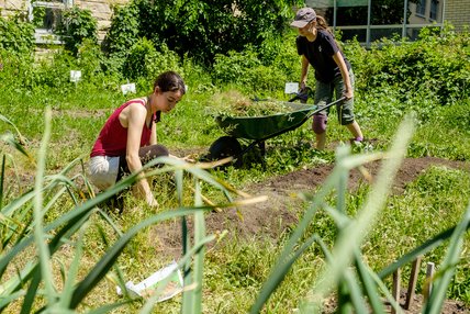 Deux étudiantes travaillent dans le jardin communautaire de l'Université