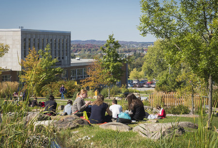 Des étudiants profitent des espaces verts du Campus principal de l'Université de Sherbrooke.