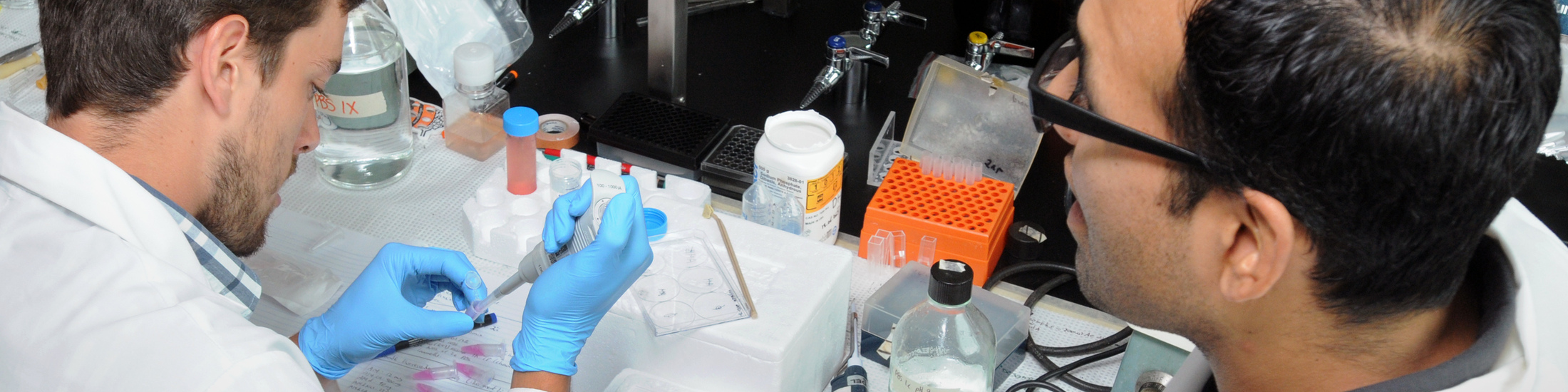 image en arrière plan