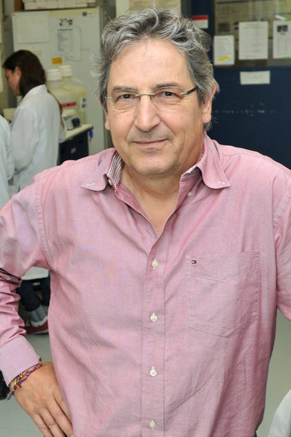 Pr Raymund J Wellinger