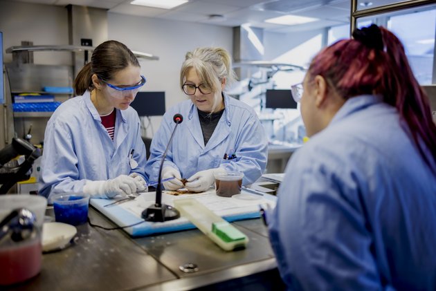 2026-02-10_labo_pathologie_ciusss_ML_38291