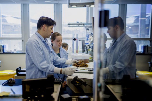 2026-02-10_labo_pathologie_ciuss_ML_38297