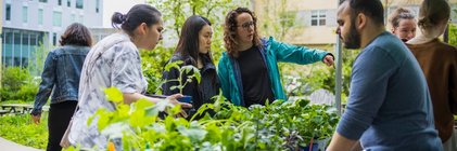 Distribution de semis 2025