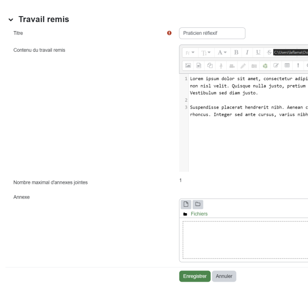 Remise d'un texte en ligne pour une personne étudiante dans l'activité Atelier
