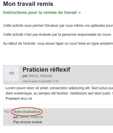 Ouverture du formulaire d'autoévaluation pour la personne étudiante