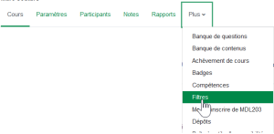Interface de Moodle : filtres