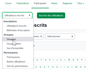 Interface de Moodle : groupes et groupements