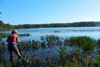 Clinique en environnement