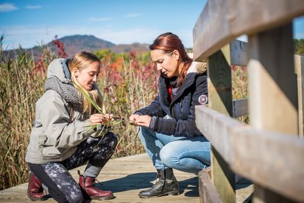 Deux étudiantes observes des échantillons de plantes dehors