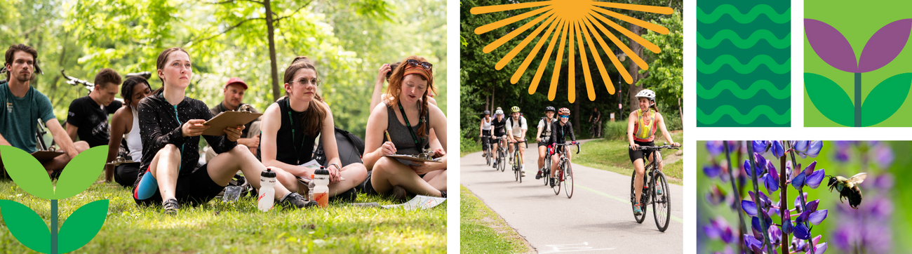 cufe environnement école d'été écoresponsabilité