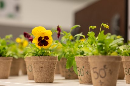 événement 50e anniversaire maîtrise