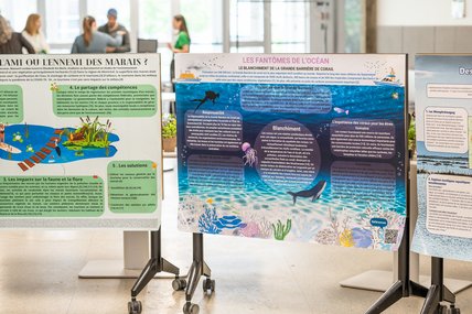 événement 50e anniversaire maîtrise