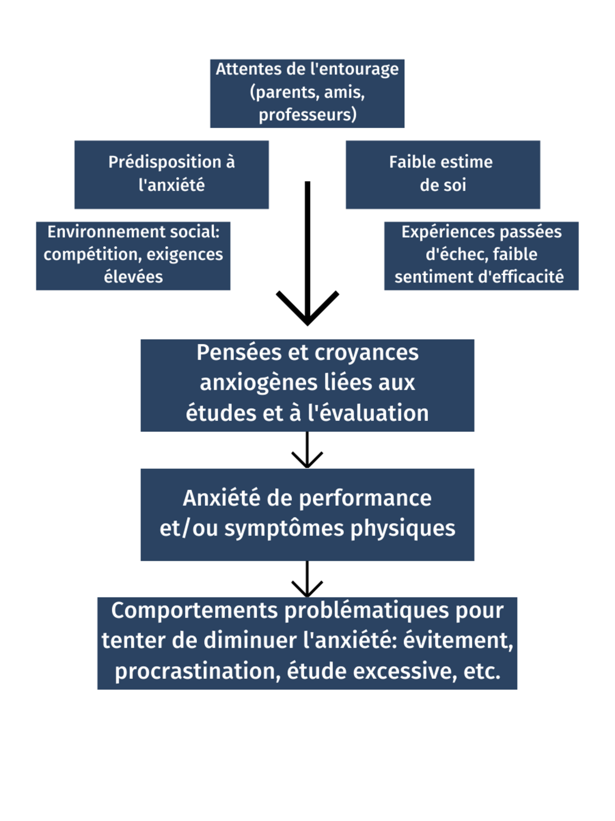 Mécanismes de l'anxiété de performance