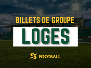 loges vert et or football