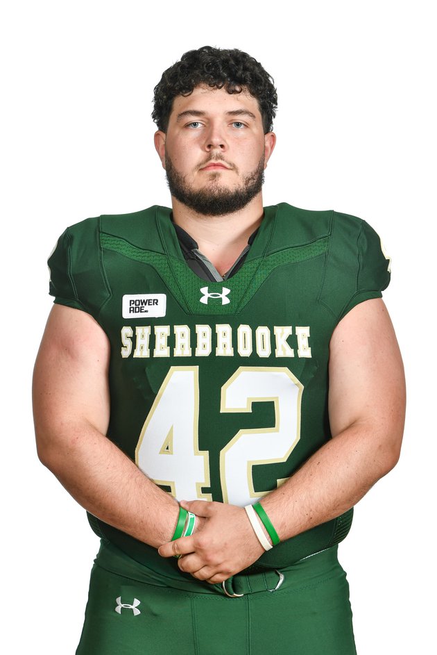 charles-emile menard