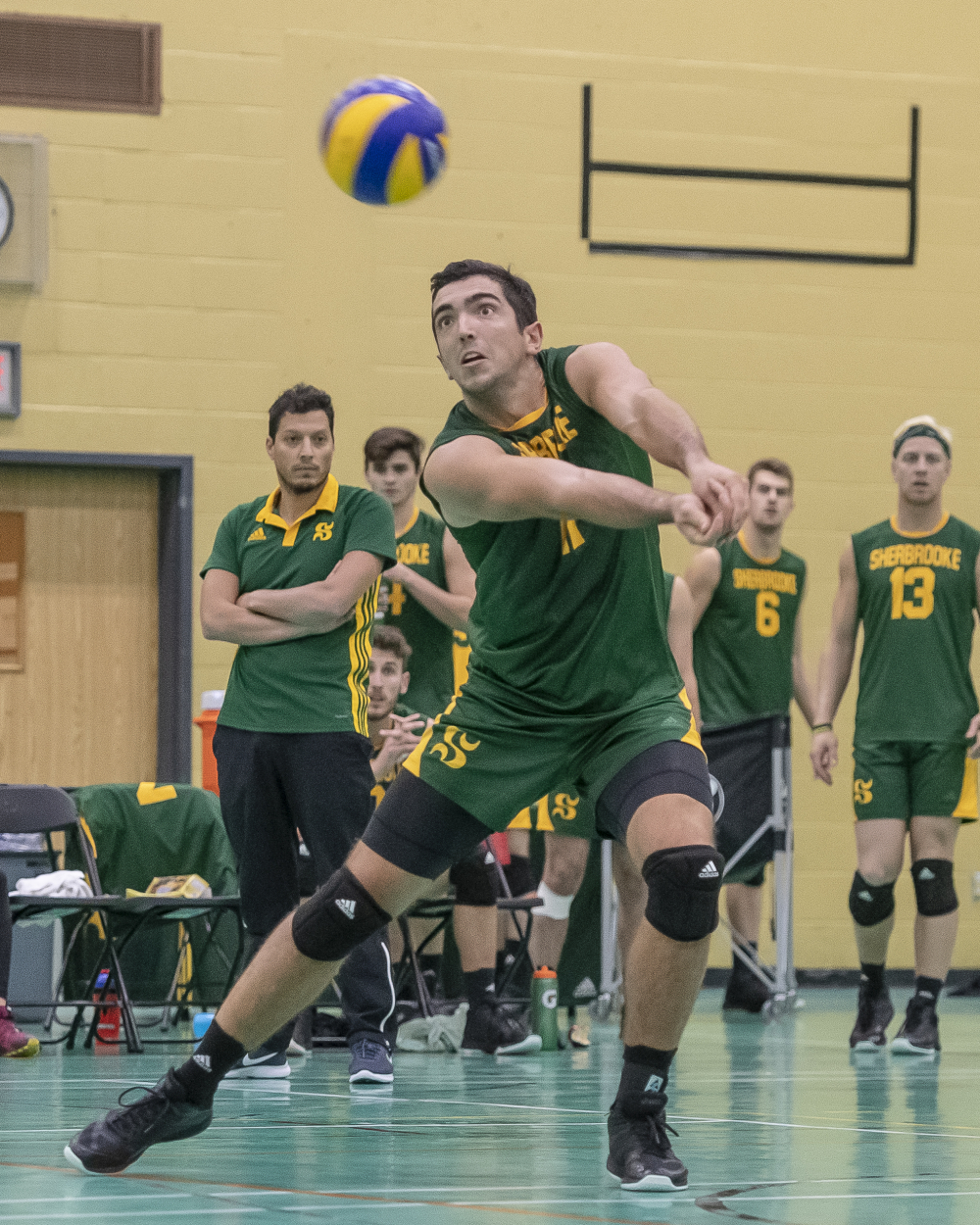 Les meneurs au classement ne font pas de cadeau au Vert & Or - Volleyball -  Université de Sherbrooke