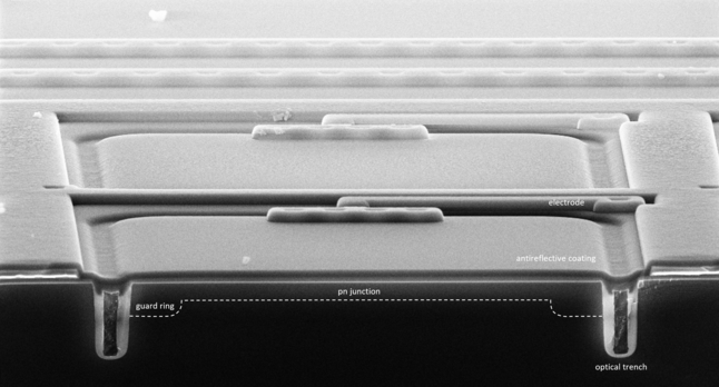 Photo du spad pris au microscope