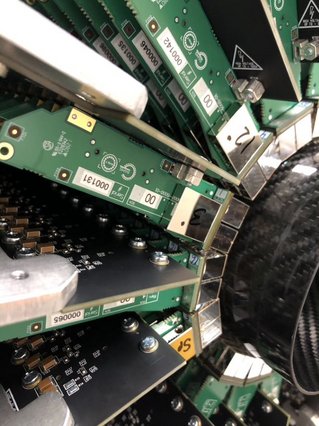 Scanner rat, vue rapprochée d'un anneau