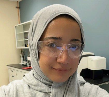 Doaa Mohamed Ahmed Hassan