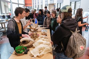 Activité Festival Vivants de nature 2025