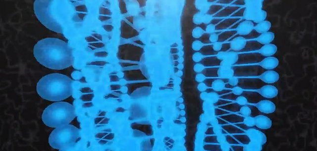 Photo d'un projet étudiant Clustering