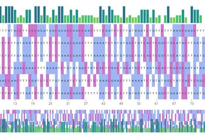 Photo du projet Phyligéographique