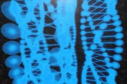 Photo du projet Clustering sur les graphes