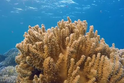 Photo du projet Security Phish Tales