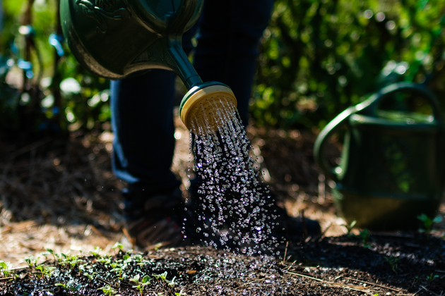 Jardinier et arrosoir