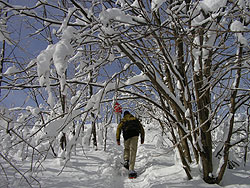 Une session d'hiver en Estrie permet de belles balades, comme ici, au Mont Mgantic.