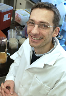Le professeur Vincent Burrus est titulaire de la Chaire de recherche du Canada sur la biologie molculaire, l'volution et l'impact des lments mobiles bactriens.