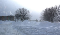 Les campus de Sherbrooke ont t littralement ensevelis sous la neige, forant la suspension des activits pdagogiques