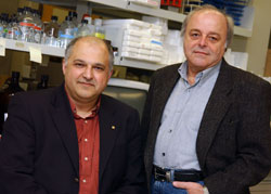 Le professeur Robert Day et son cochercheur Witold A. Neugebauer, tous deux du Dpartement de pharmacologie, cherchent des moyens pour viter la transmission de la grippe aviaire aux humains.