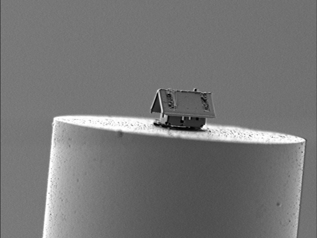 Troisieme prix concours photo LN2 2022