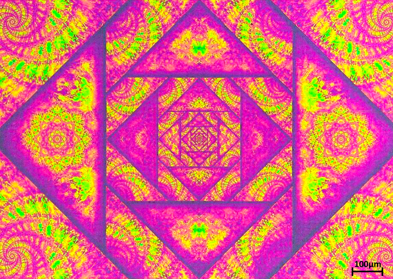 Premier prix concours photo LN2 2022