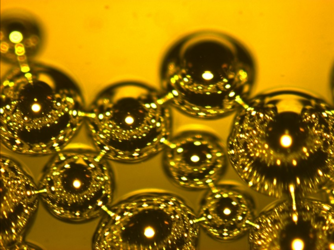 Deuxième prix du concours photo LN2 2022