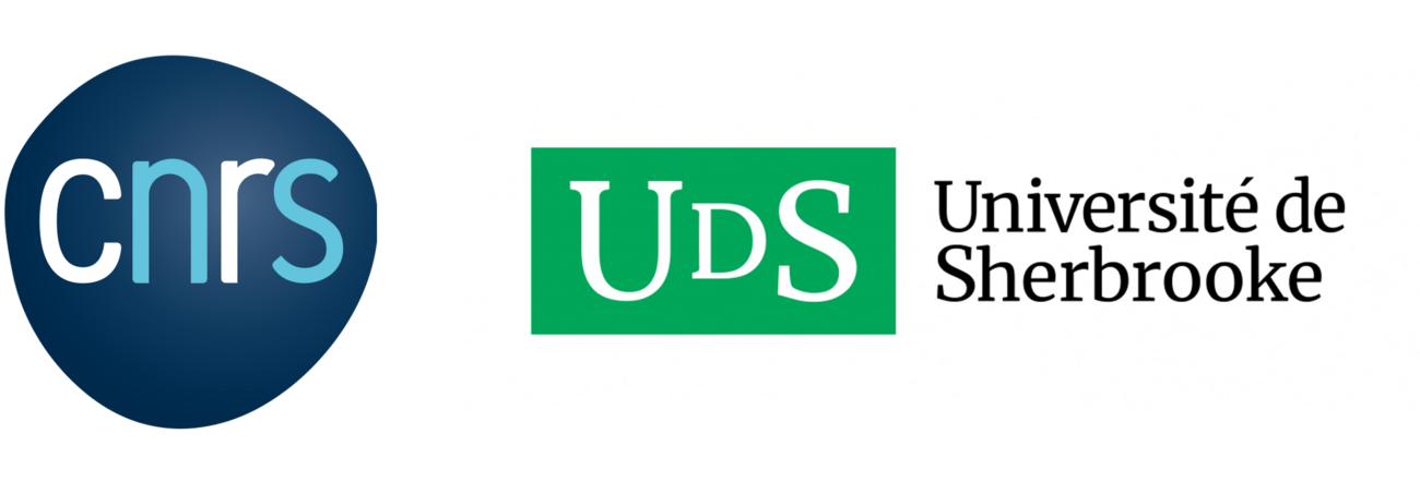 Logo CNRS_UdS