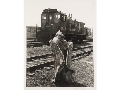 André Le Coz, La saga des poules mouillées, 1981