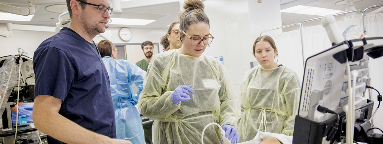 Formations accréditées 