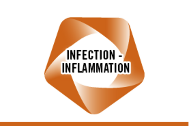Bandeau illustrant le thème porteur Infection-inflammation