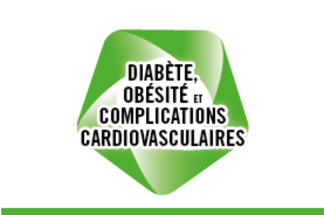Bandeau illustrant le thème porteur Diabète, obésité et complications cardiovasculaire