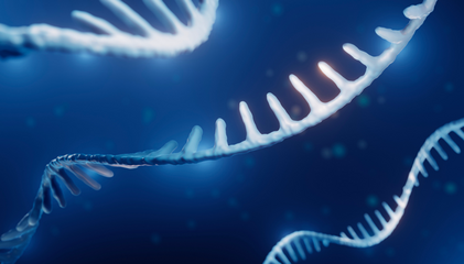 Il était une fois… un soleil nommé UdeS - Recherche sur l’ARN pour la médecine de demain