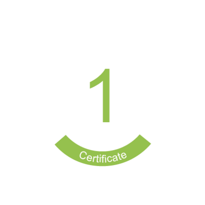 Graduate Certificate in College Teaching