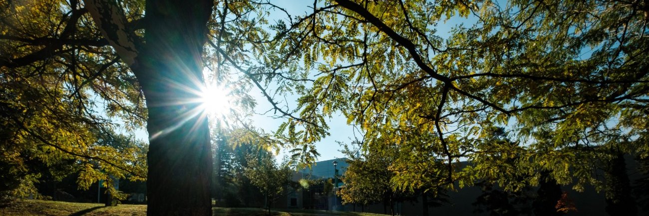 Campus principal